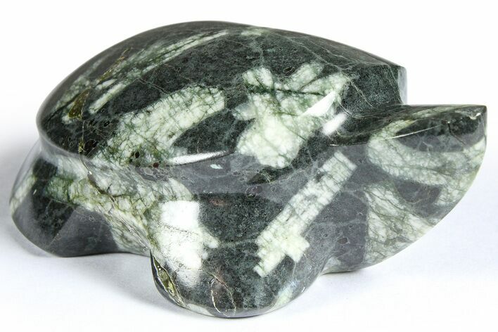 Polished Chinese Writing Rock Turtle - California #366813
